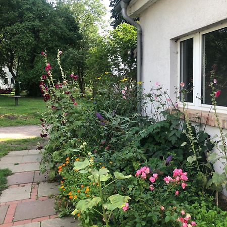 Apartmán Cabana In Zweedorf An Der Ostsee Pokoj fotografie